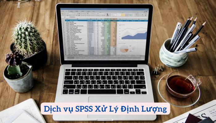 Dịch vụ SPSS Xử Lý Định Lượng – Xử lý dữ liệu chuyên nghiệp